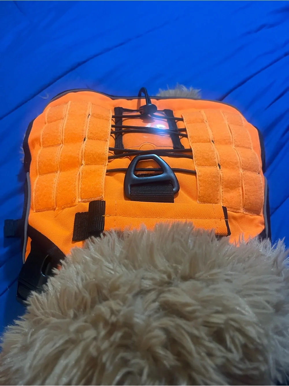 High-Visibility Orange Tactical Dog Pack with MOLLE Panels
